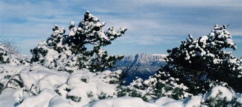 Contreforts Du Vercors Depuis La For T De Sao Vercors Dep Flickr