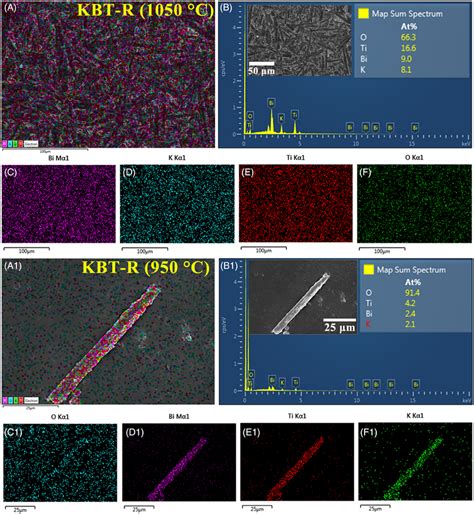 Energy‐dispersive X‐ray Spectroscopy Edx Spectra And Elemental Download Scientific Diagram