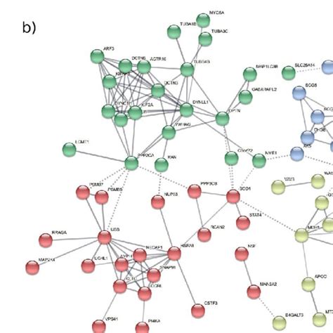 Ppi Networks Calculated From Significant Genes In The Sn Meta Analysis