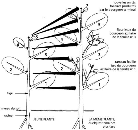 Pin On Études