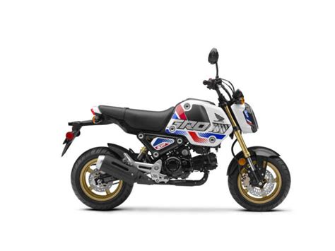 Honda Grom Abs Guide Total Motorcycle