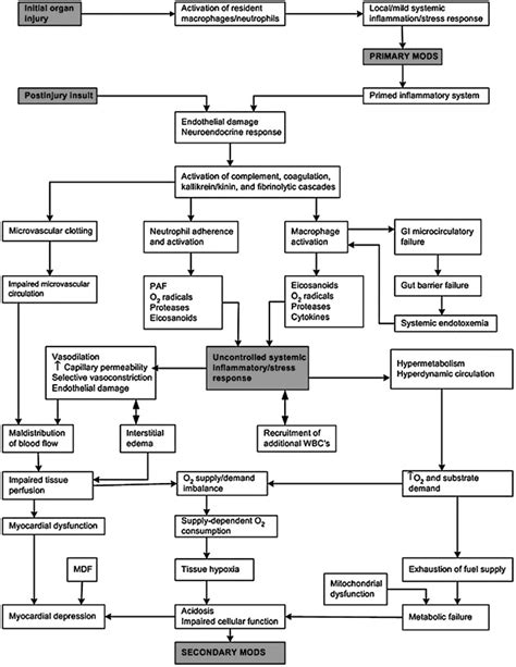 Making Sense Of Multiple Organ Dysfunction Syndrome Critical Care