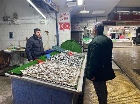 İstavrit balıkçıların yüzünü güldürdü Zonguldak Pusula Son Dakika