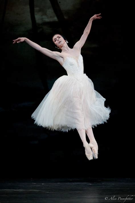 Natalia Osipova In Giselle Photo By Alice Pennefather Royal Ballet