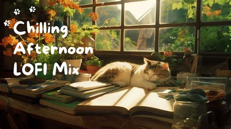 Meow Chilling Afternoon Lofi Mix Beats To Relax Study Chill Lofi