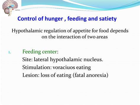 PPT - Hypothalamus PowerPoint Presentation, free download - ID:6901446