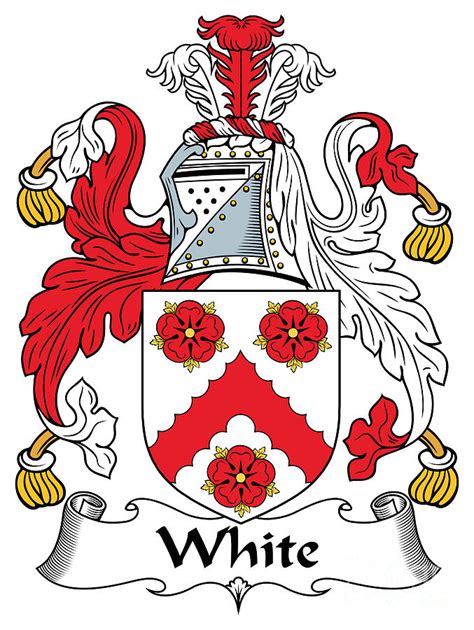 White Coat of Arms II Irish Digital Art by Heraldry - Pixels