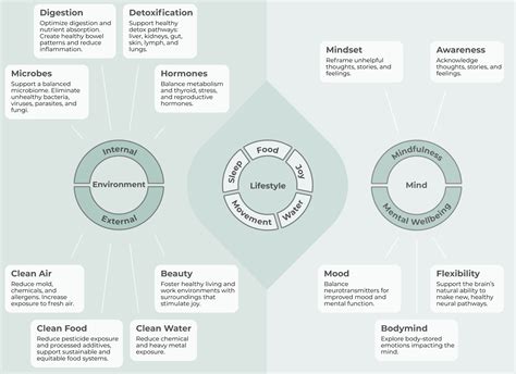 ELM Framework for Health. | NW Life