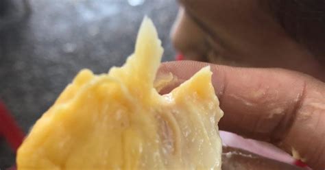 Tempat Makan Durian Di Alor Setar Kedah Kereta Sewa Alor Setar Kedah