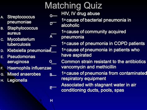 Pneumonia Flashcards Quizlet