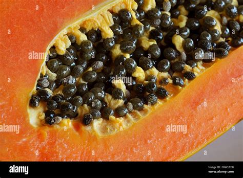 Semillas Comestibles De Frutas Fotos E Im Genes De Stock Alamy