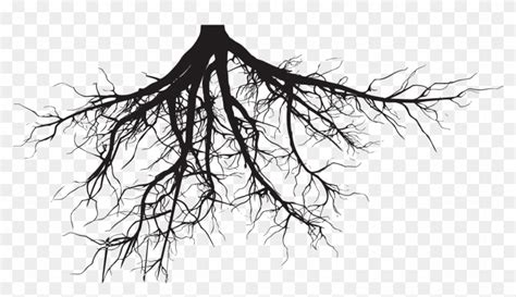 Tree Roots Png Tree Roots Silhouette Png Transparent Png X