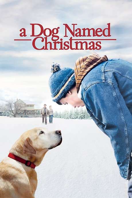 ‎A Dog Named Christmas (2009) directed by Peter Werner • Reviews, film ...