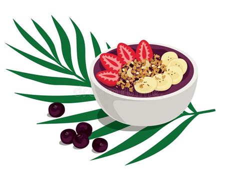 Bacia De Acai Do Verão Do Poder Ilustração Do Vetor Ilustração De