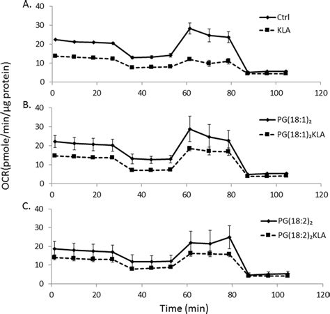 Mitochondrial Activity In Raw2647 Cells The Oxygen Consumption Rates