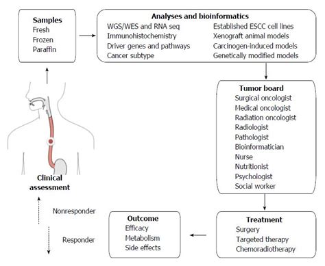 Esophageal Squamous Cell Carcinoma