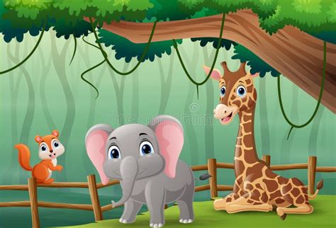 Cartoon Wild Animal In The Jungle Stock Vector Illustration Of