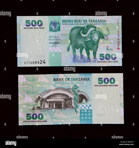 Tanzanian Banknote 500 Shillings African Buffalo On Front Nkrumah