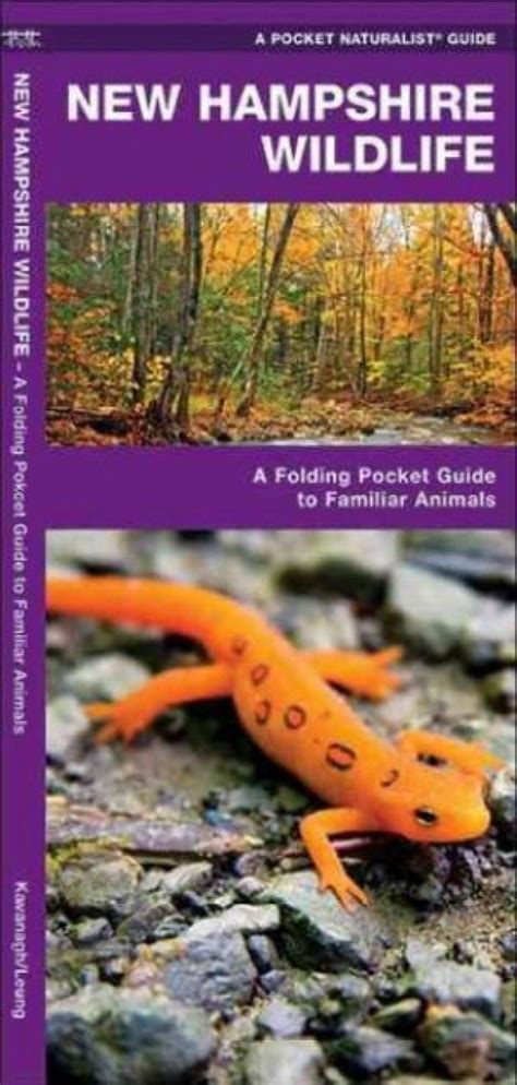 New Hampshire Wildlife A Folding Pocket Guide To Familiar Animals