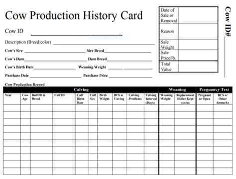 Ansc Exam Production Records Flashcards Quizlet