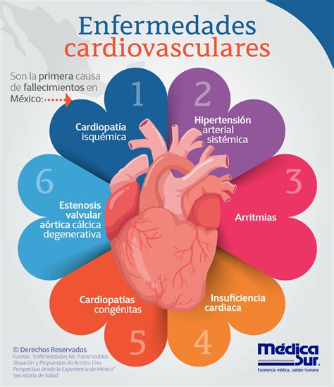 Enfermedades Cardiovasculares Enfermedades Cardiovasculares Cosas De