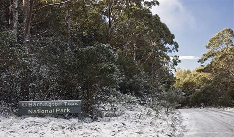 Barrington Tops National Park Nsw National Parks