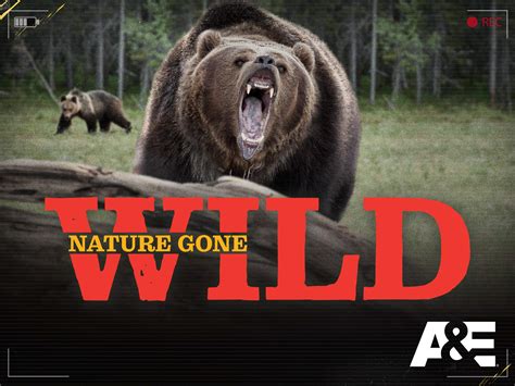 Gone wild audio beast