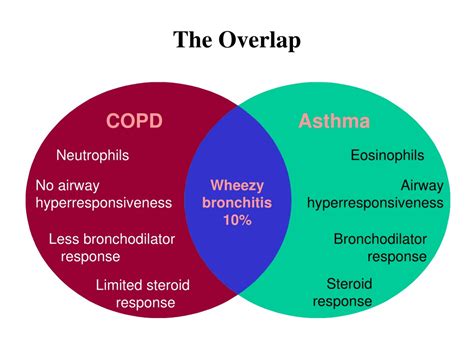 Ppt Asthma And Copd Jindal Chest Clinic Powerpoint Presentation Free Download Id 11430470