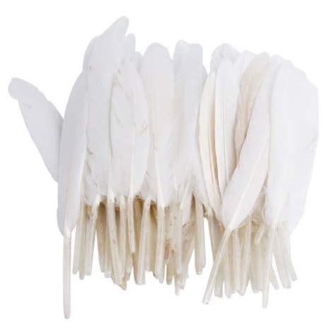 White Goose Decorate Feathers for Elegant Weddings, 100 Pieces of White Feathers for Crafts ...