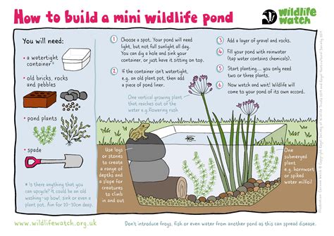 How To Build A Small Natural Pond Easy Diy Guide