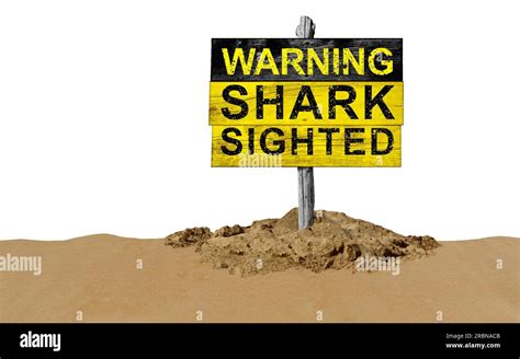 Shark Sign On The Beach Warning Of Danger And Beware Of Sharks Signage