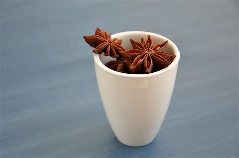 Spices Anise Star Free Photo On Pixabay Pixabay