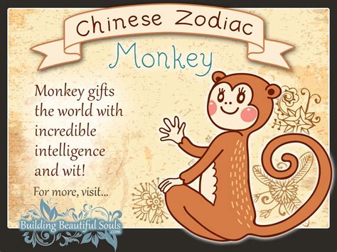 Chinese Zodiac Monkey Child Personality & Traits | Chinese Zodiac for Kids