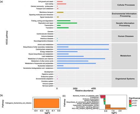 Abundance Map And Differences In Kegg Metabolic Pathways A The