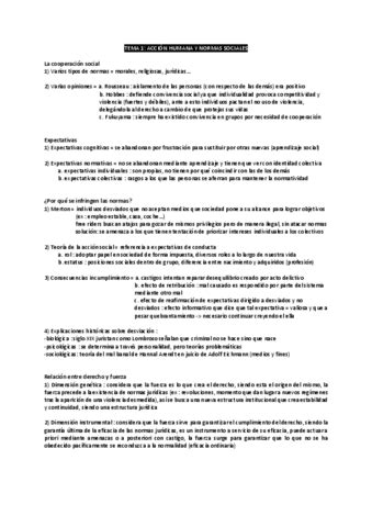 Curso entero MUY resumido Teoría del derecho pdf