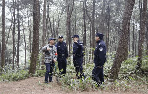 向群众报告丨永川公安森林警察支队全力守护绿水青山保护