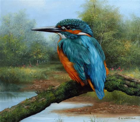 Kingfisher Oil Painting Ubicaciondepersonascdmxgobmx