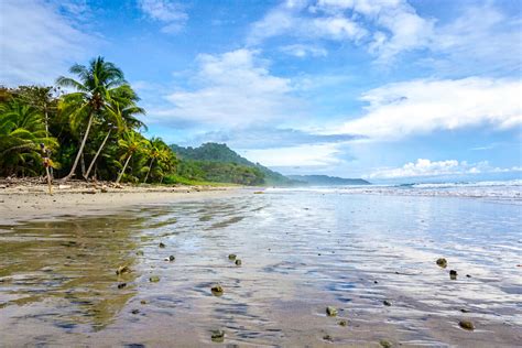 Santa Teresa Costa Rica A Guide To The Coolest Beach Town You Ve