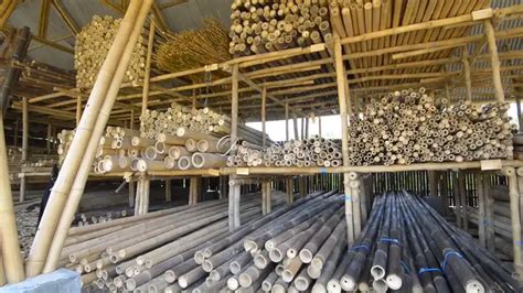 Natural Bamboo Poles Wholesale Bamboo Construction Material Raw Bamboo