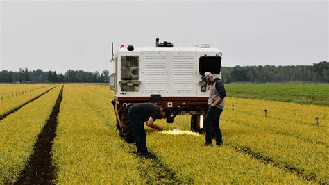 Des Robots En Agriculture L’actualité