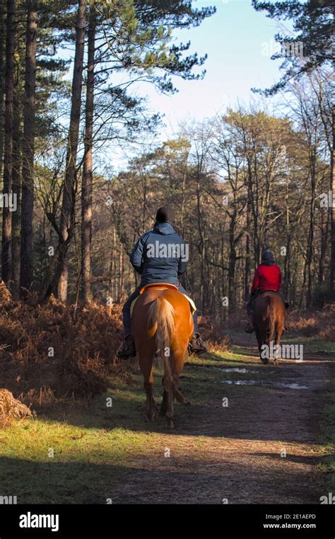 Horse Riders And Bridleway Hi Res Stock Photography And Images Alamy