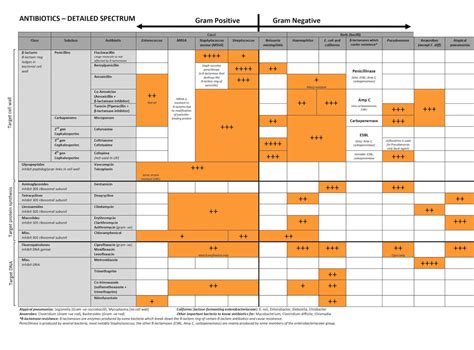 Antibiotic Spectrum OSCEstop OSCE Learning