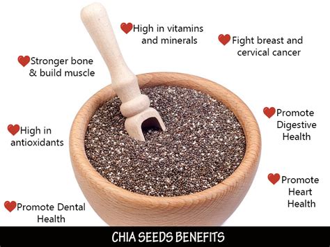 The Nature Superfood Chia Seeds Hand Crafted Premium Cold Pressed