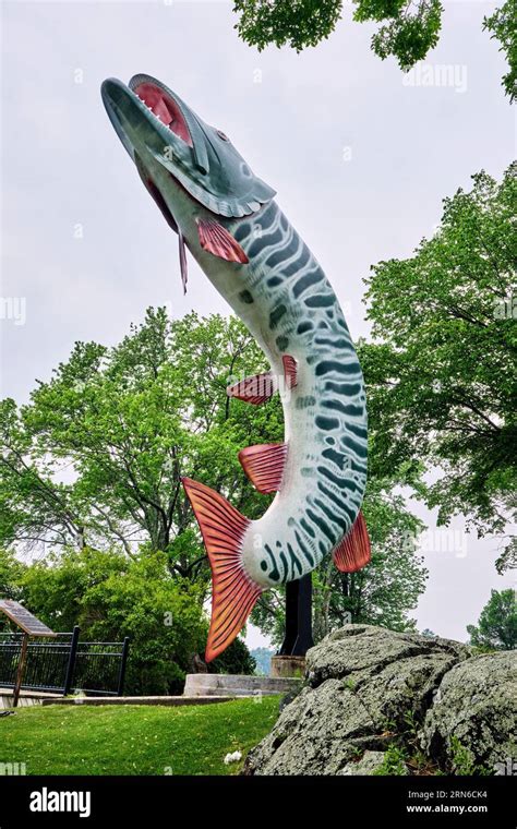 Husky the muskie statue hi-res stock photography and images - Alamy