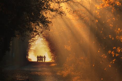 Herfst Tips Voor Mooie Herfst Foto S Door Bas Meelker