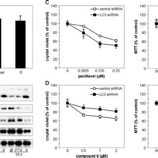 The Role Of Autophagy In The Anticancer Activity Of Paclitaxel And