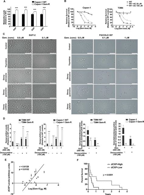 MUC1 And HIF 1alpha Signaling Crosstalk Induces Anabolic Glucose