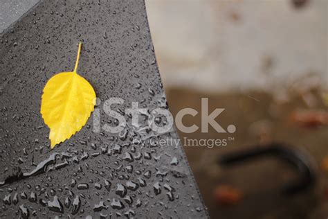 Rainy Weather Stock Photo | Royalty-Free | FreeImages