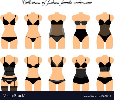 Female Lingerie Or Underwear Set Royalty Free Vector Image