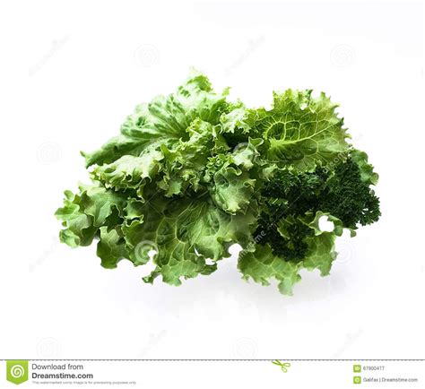 Folha Da Salada Alface Isolada No Fundo Branco Imagem De Stock Imagem